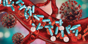 S11-Bacterial-blood-infection
