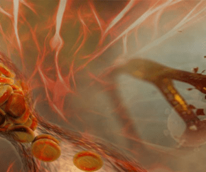 S3: Overcoming Silos